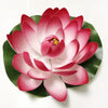 A lifelike pink lotus flower with green leaves floating on white background.