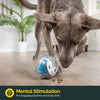 Interactive Treat Dispensing Dog Ball