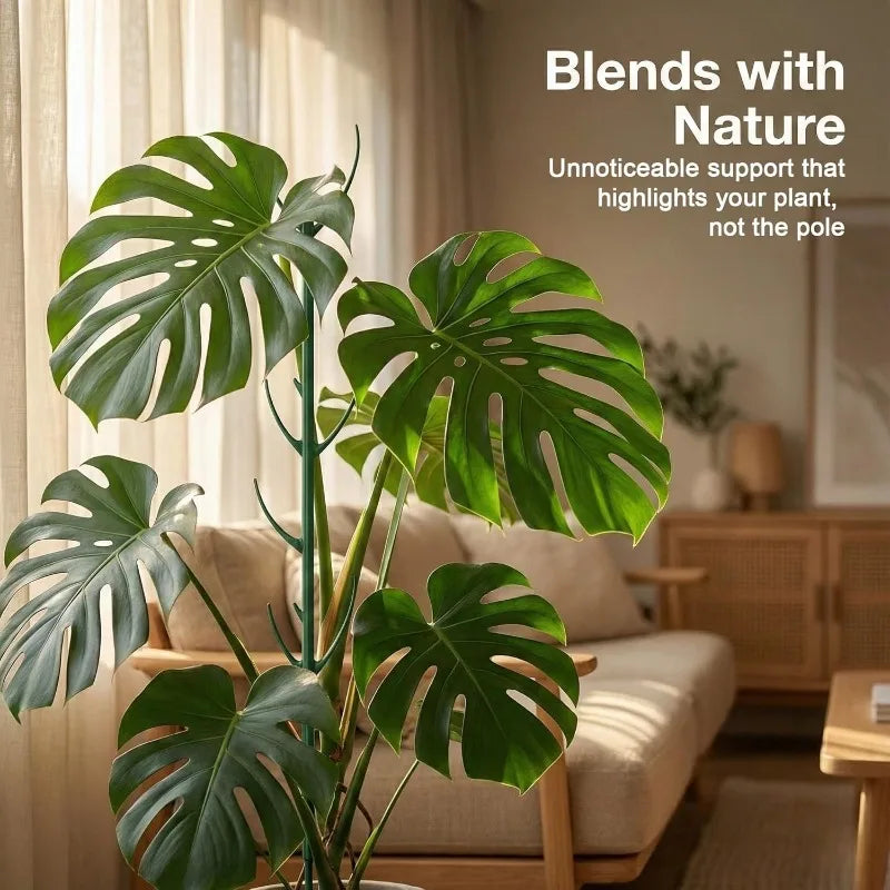 Stackable Monstera Plant Support Poles with Ties