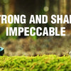 SK5 Steel Utility Knife Blades (T-Shaped, Heavy-Duty)