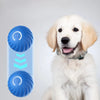 Interactive Smart Dog Ball