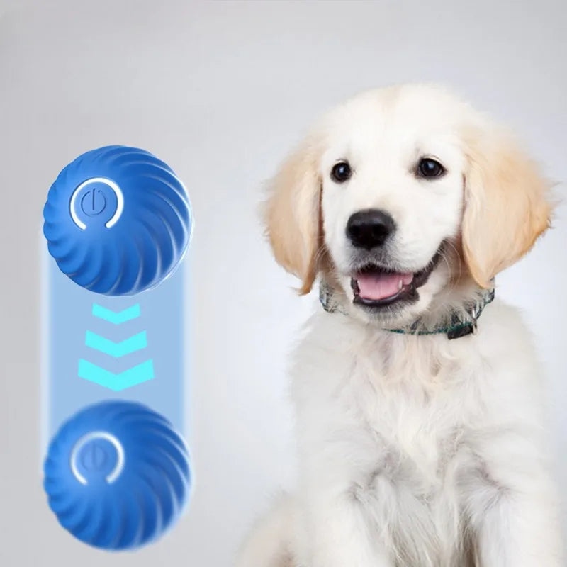 Interactive Smart Dog Ball