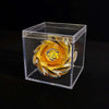 A gold and silver metal spinning top is displayed inside a clear plastic box.