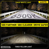 Comparison of a crisp white LED light (6500K) and a tired yellow halogen light (4000K) on a road.