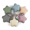 Star Silicone Pacifier Storage Box with Stroller Hanging Strap