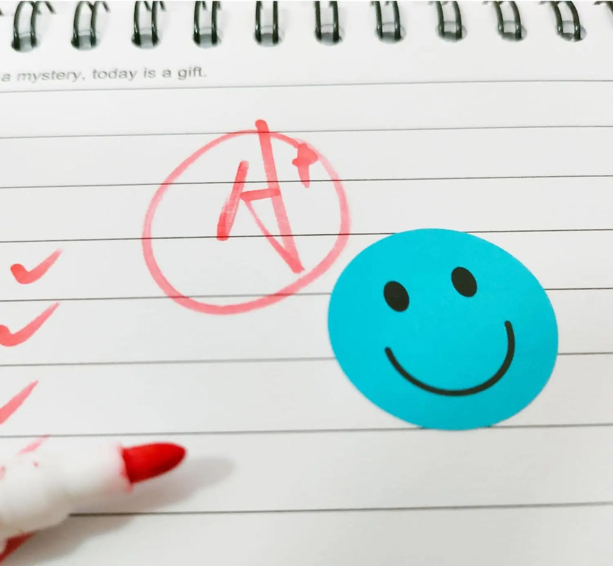 Smiling Face Reward Stickers - 500 Pack
