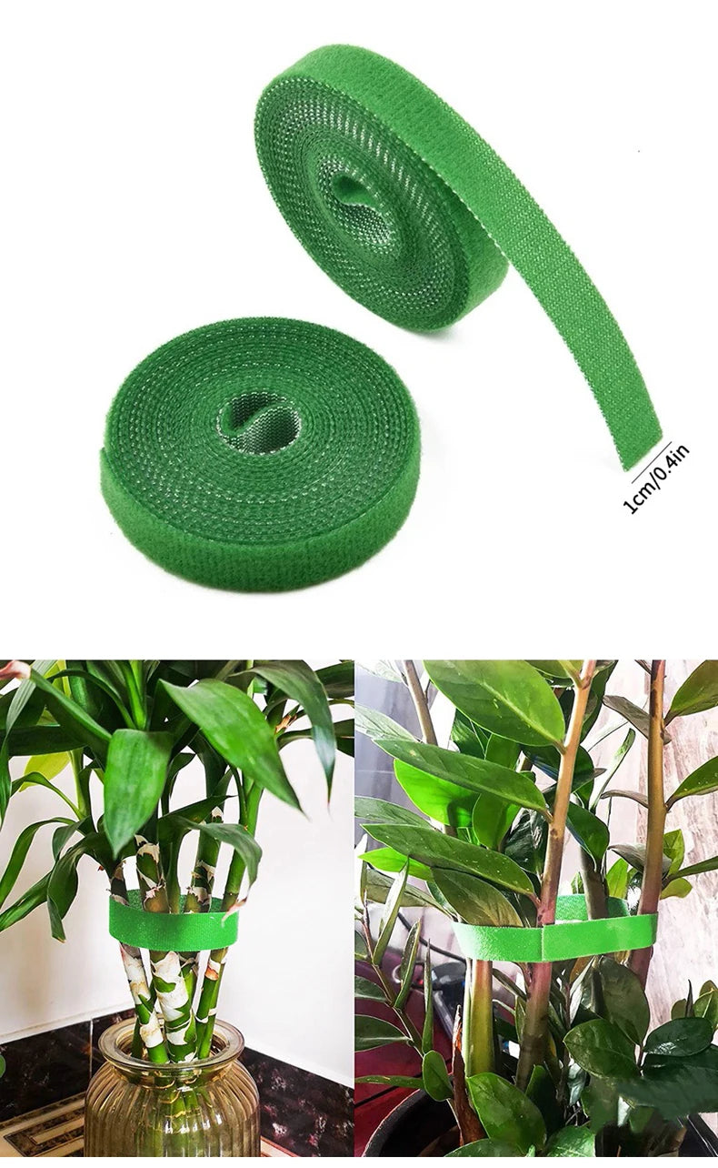 Ein Rollgrünes Gartenfaden zum Binden und Halten von Pflanzenstielen.
