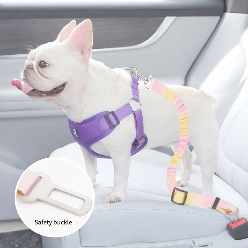 Verstellbarer Hundegurt für das Auto