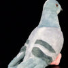 A soft gray plush toy of a pigeon with subtle gray markings against a black background.