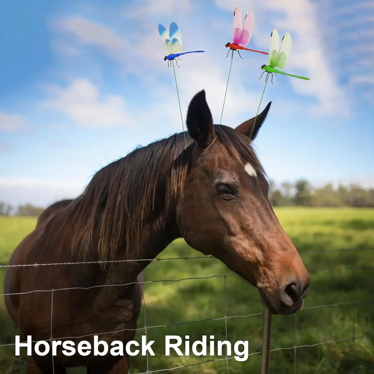 A brown horse is shown with several colorful dragonfly garden decor clips attached to its head.