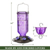 Hanging Glass Hummingbird Feeder with Ant Moat