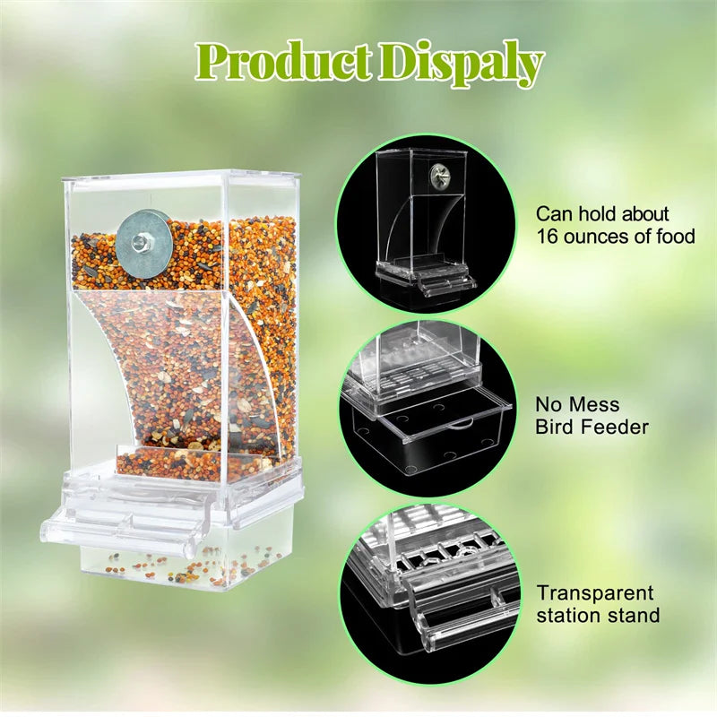 Clear acrylic bird feeder with a transparent stand holding about 16 ounces of seed food