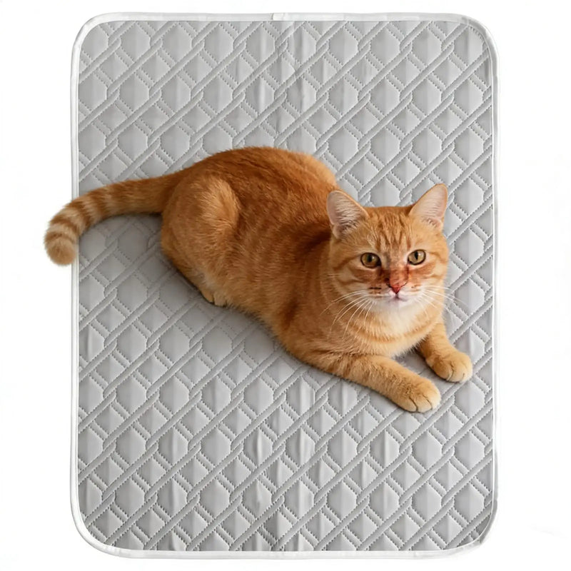 Tapis Rafraîchissant pour Chiens et Chats