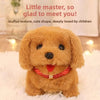 Interactive Walking Plush Dog Toy with Sound for Pets