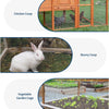 Images showing various galvanized steel wire mesh cages for chicken, bunny, and vegetable gardens.