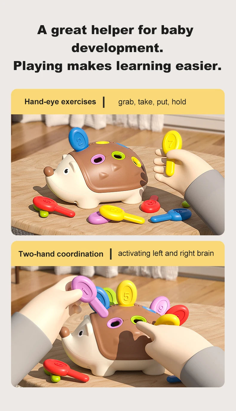 Kindehändchen interagiert mit einem sensorischen Igelspielzeug, das Hand-Auge- und Zwei-Hand-Koordination fördert