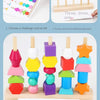 Montessori Wooden Color & Shape Matching Puzzle for Toddlers