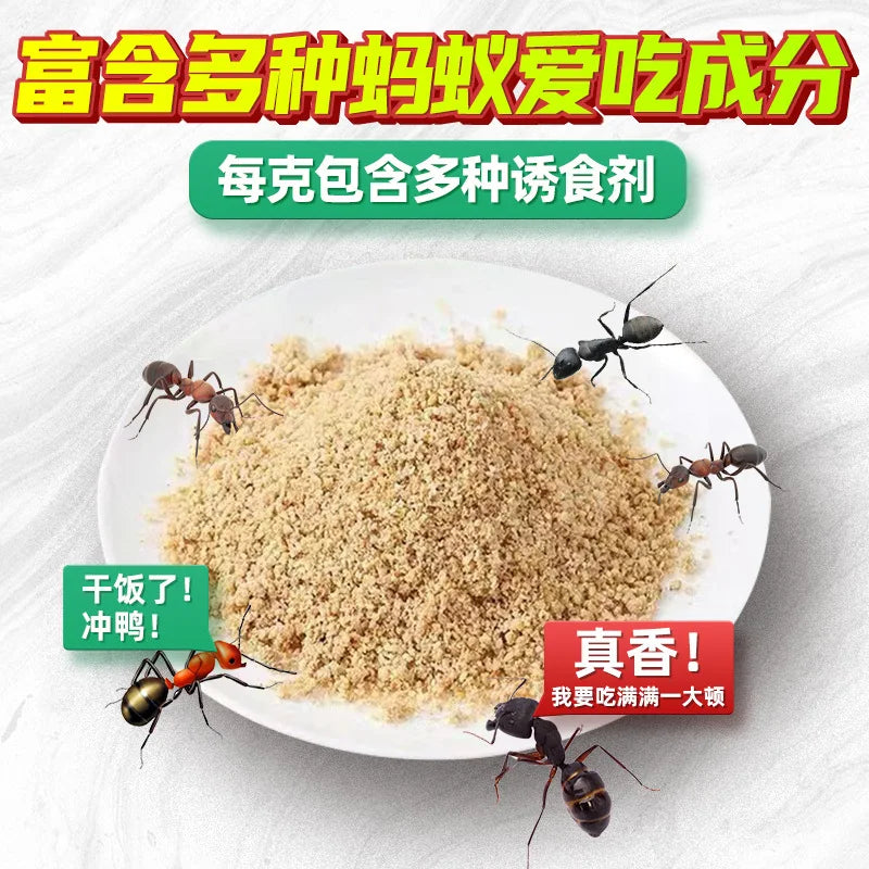 A pile of light brown powder mixed with small insects and ants on a white plate.