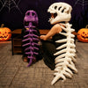 Realistic Dinosaur Skeleton Costume Set