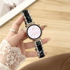 Colorful Resin & Metal Watch Band Strap