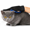 A gray cat is being groomed with a black silicone glove featuring a blue silicone brush.