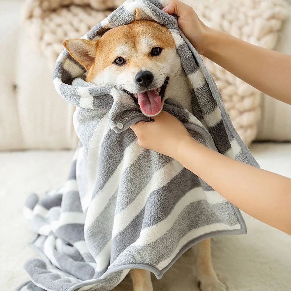 A person is holding a gray and white striped quick-dry dog bathrobe around a small dog.
