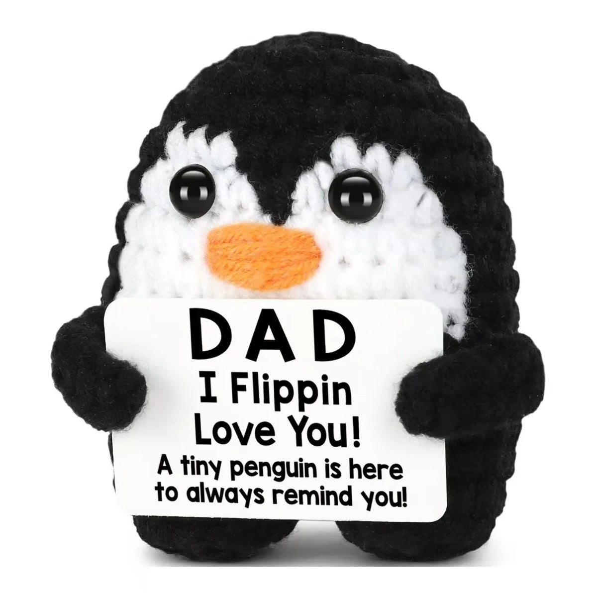Handmade Crochet Pocket Hug Doll with Custom Message