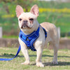 Adjustable Reflective Dog Harness & Leash Set