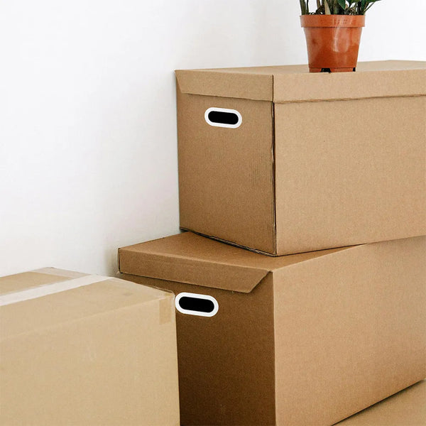 Heavy Duty Plastic Carton Buckle Handles for Moving Boxes