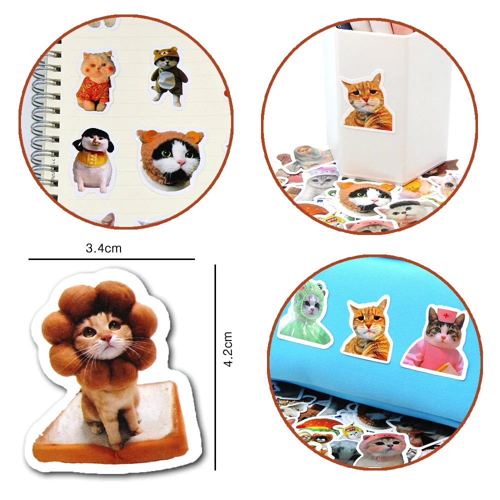 Funny Cat Sticker Pack for Laptops, Water Bottles & More