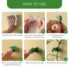Instructions showing how to use invisible plant wall clips for climbing vines, including installation and securing the plant.