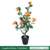 Árbol Topiario de Camelia de 85 cm con Maceta Decorativa