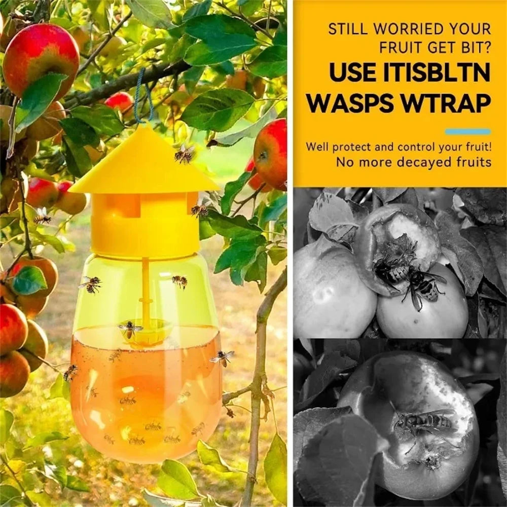 A yellow fruit fly trap device with an orange liquid lure is shown hanging on a tree branch amidst green leaves and fruit.