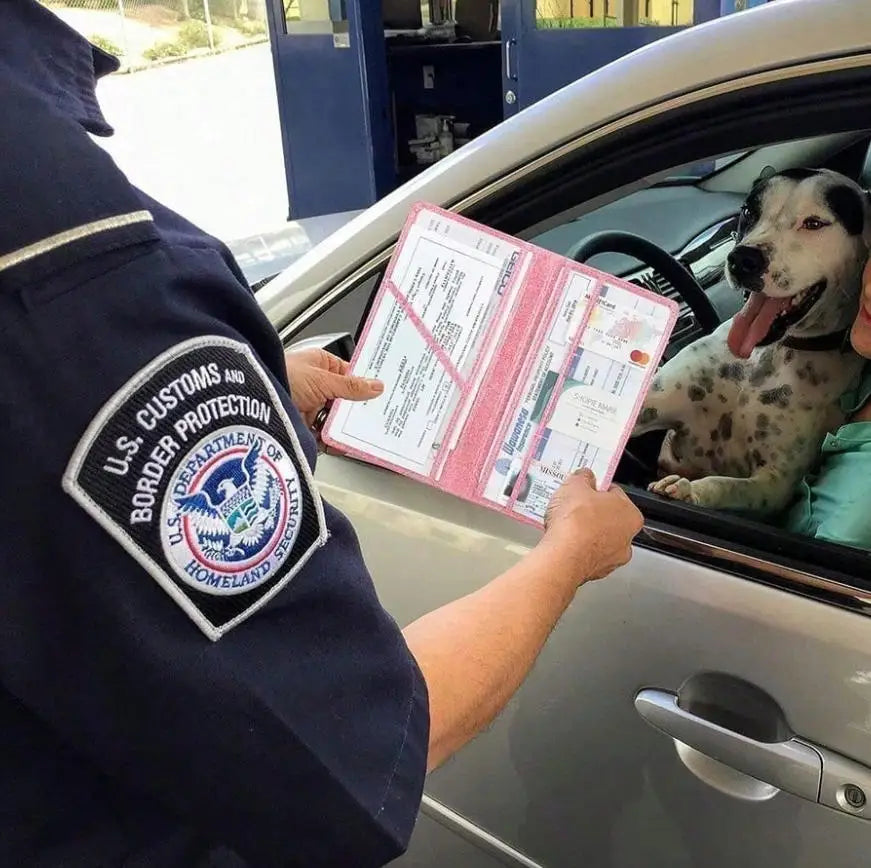 A Border Protection officer shows a car document organizer to a dog inside a vehicle.