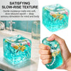 Ocean Cube Stress Relief Toy