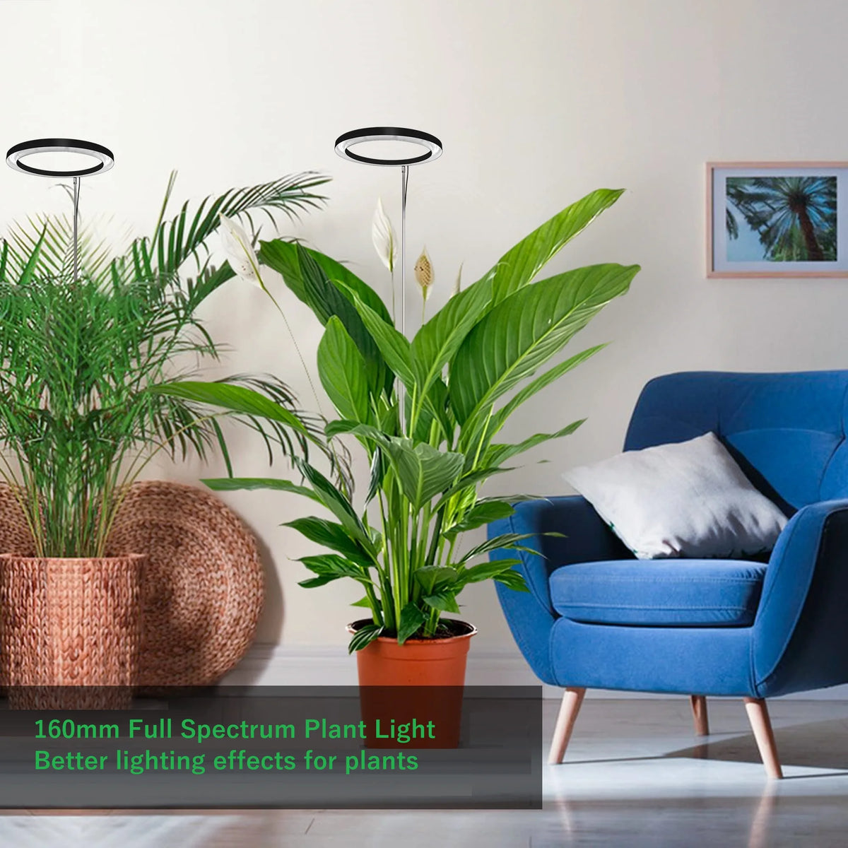 A vibrant green potted plant is illuminated by a full spectrum LED grow light in a modern indoor setting.