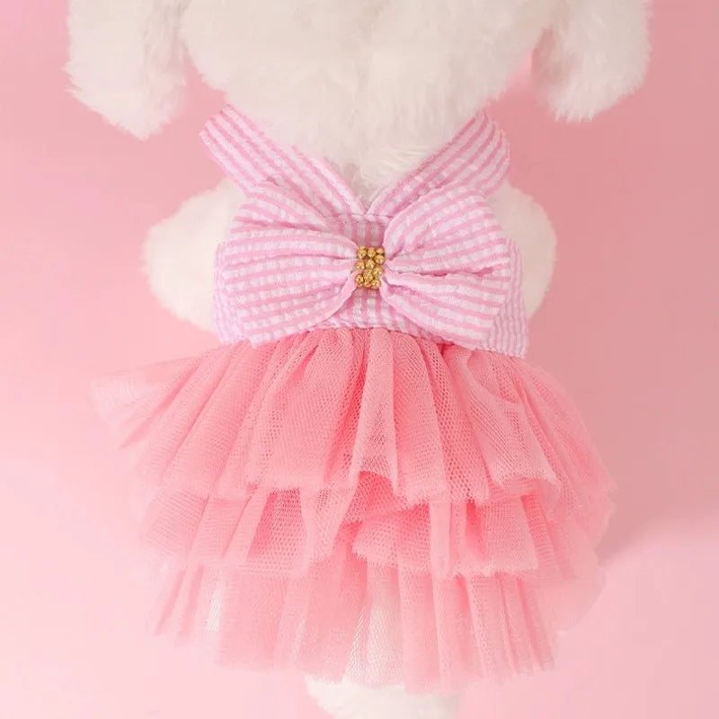 Robe à Rayures pour Animal de Compagnie avec Nœud et Dentelle