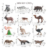 A set of 12 realistic animal figurines including a lion, tiger, elephant, deer, monkey, camel, flamingo, rabbit, and dog.