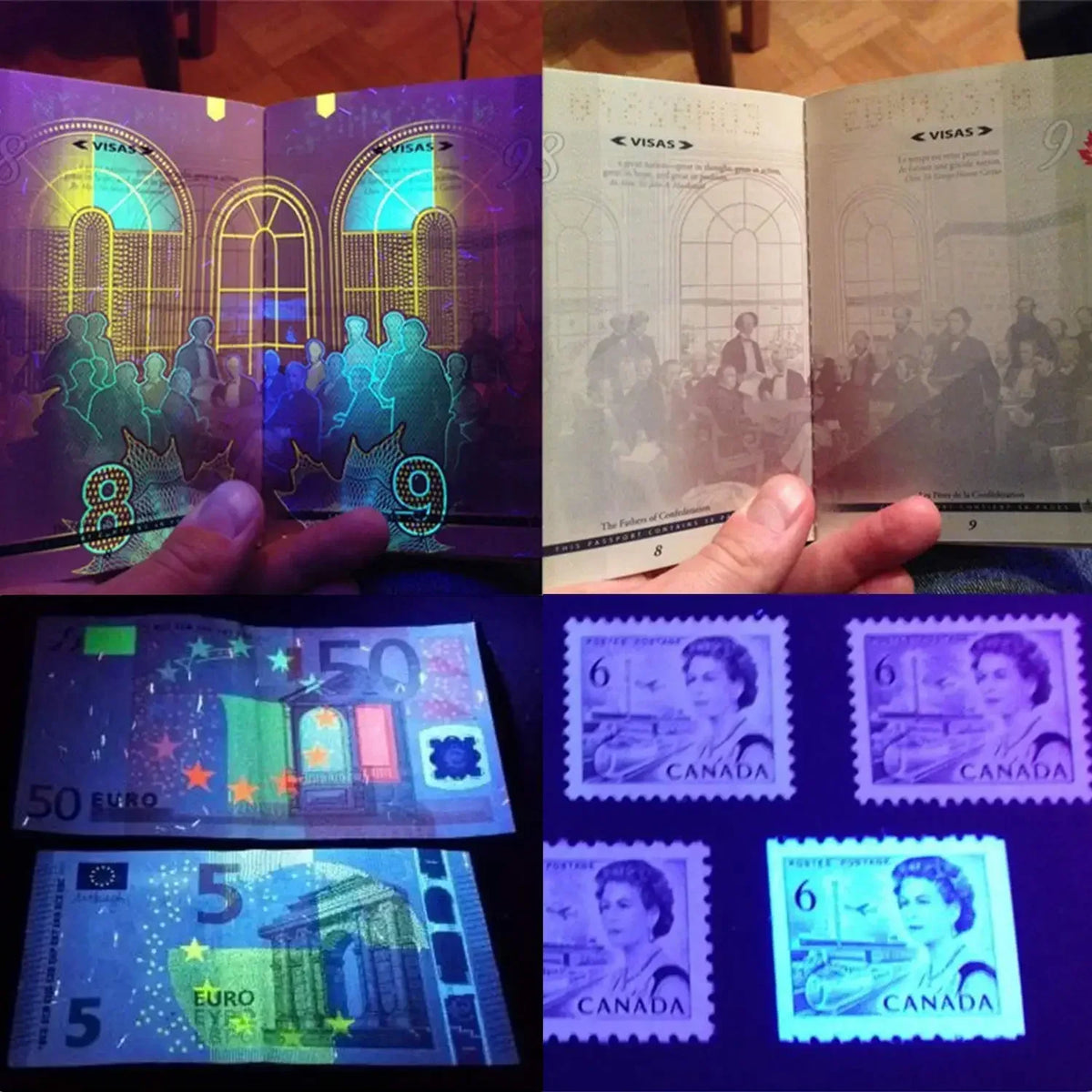 A collection of various currency notes, including Euro and Canadian bills, displayed next to a flash light with UV light.