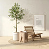 Lifelike Artificial Olive Tree in Black Pot with Natural Wood Trunk