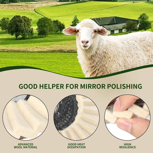 125mm Wool Felt Flap Polishing Disc for Angle Grinders