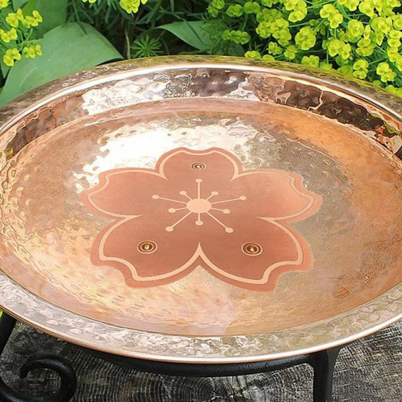 حوض طيور نحاسي صغير ومغذٍ