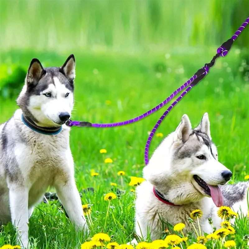Dual Dog Leash with 360° Swivel Tangle-Free Design