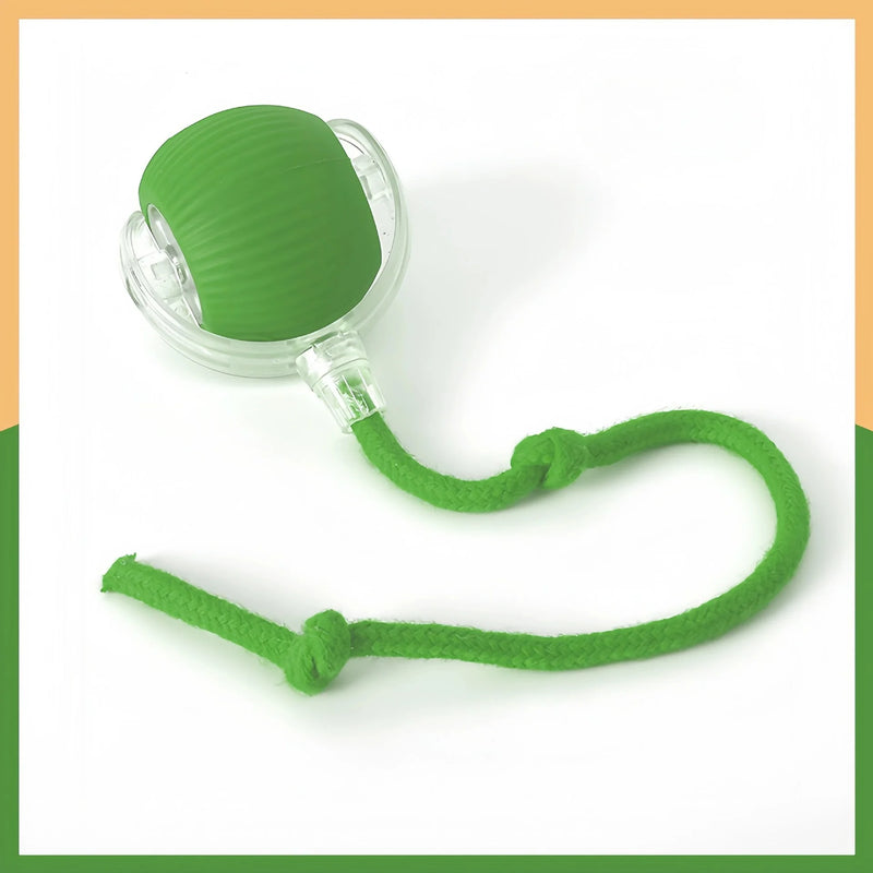 Automatic Interactive Pet Rolling Ball Toy