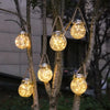 A cluster of warm glowing glass lanterns hanging from tree branches in an outdoor setting.