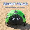 Ladybird Ground Kite for Outdoor Family Fun