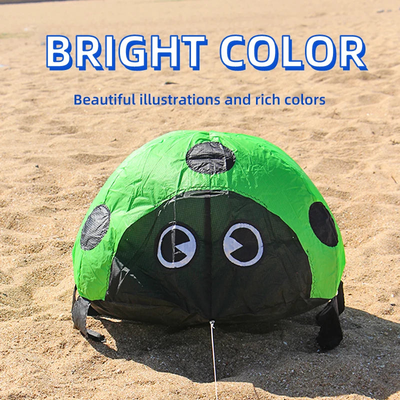 Ladybird Ground Kite for Outdoor Family Fun
