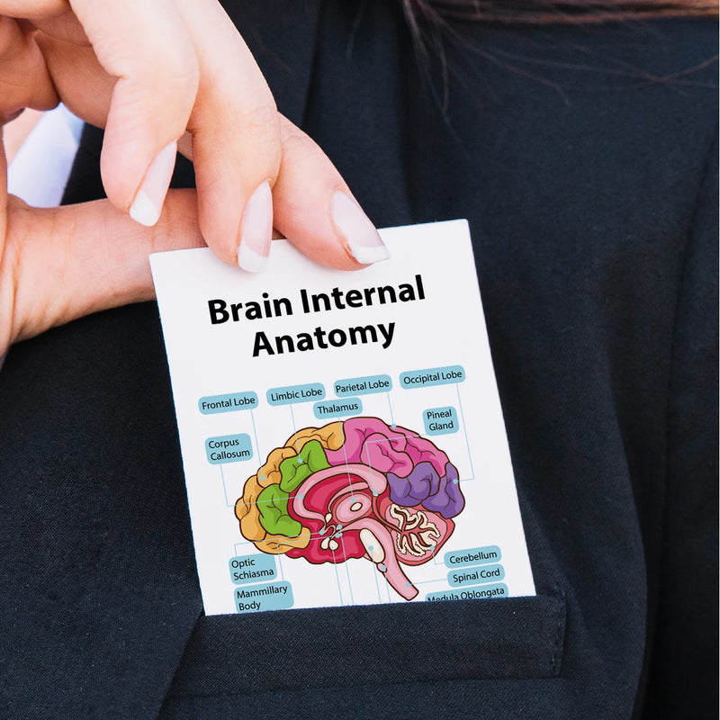 Human Anatomy Flash Cards - 20-Piece Study Set