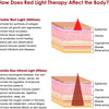 Diagram showing how visible red light and invisible near-infrared light affect different layers of the body.