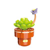 DIY Succulent Plant Building Block Bouquet